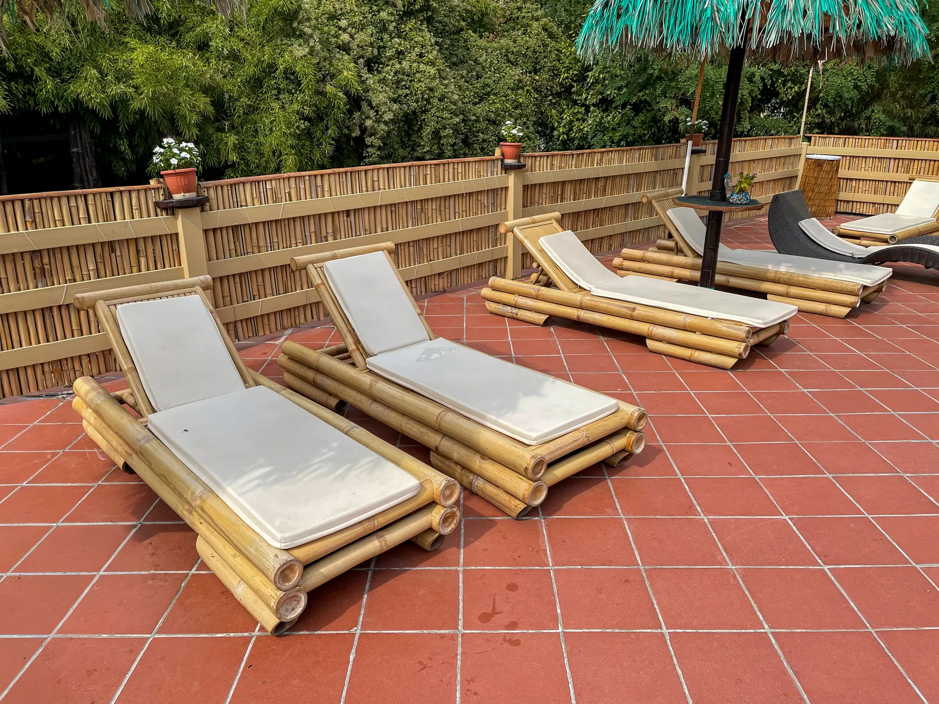 arredo-e-complementi-bamboo-canne-bambu-foglie-palma-canna-africana-gazebo-ombrelloni-chioschi-chiringuitos-verande-stabilimenti-balneari-lidi-ristoranti-spiagge-parchi-hotel-piscine-009