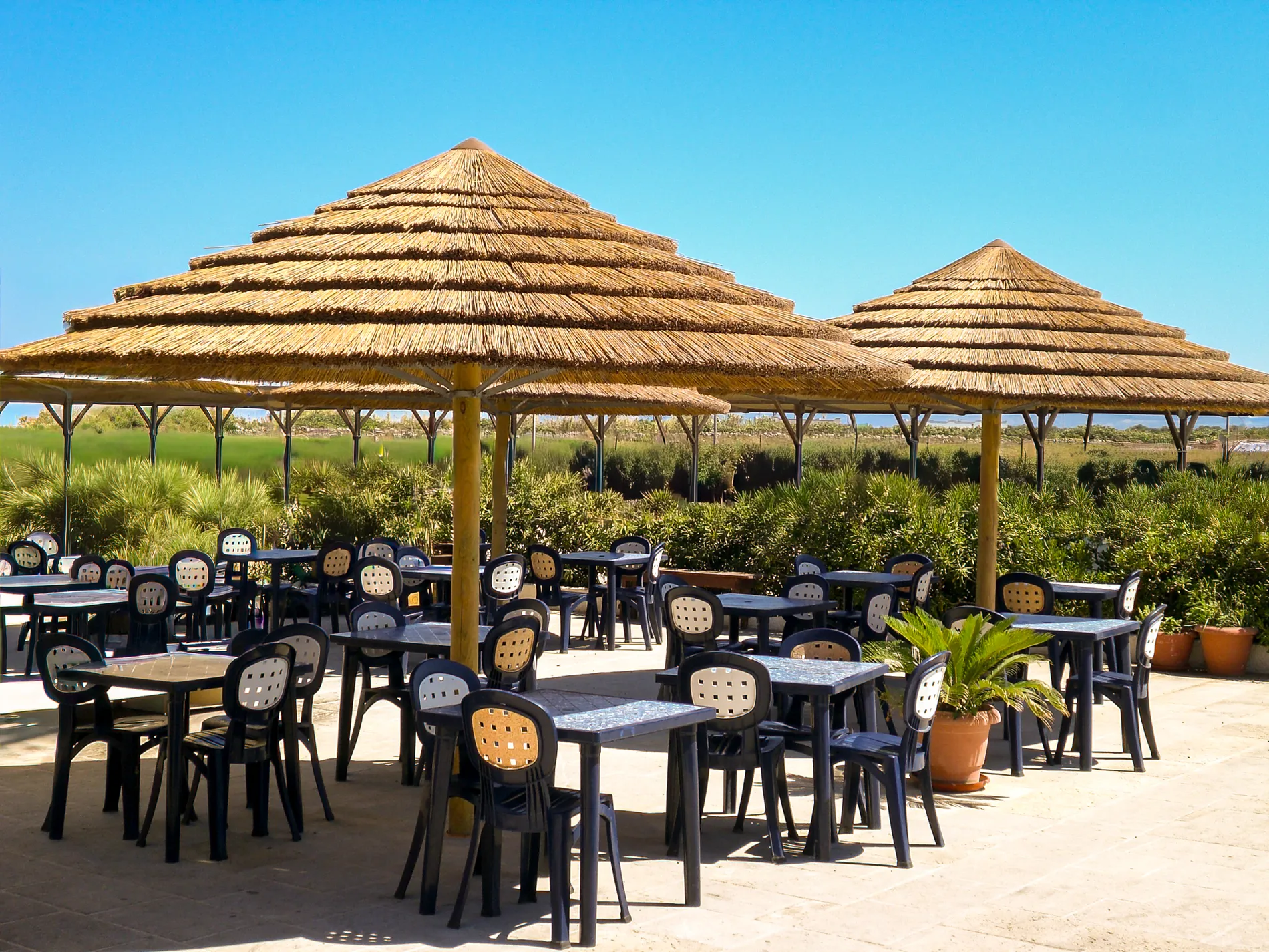 ombrelloni-africani-canna-africana-etnici-esotici-stabilimenti-balneari-lidi-ristoranti-spiagge-parchi-hotel-piscine-002