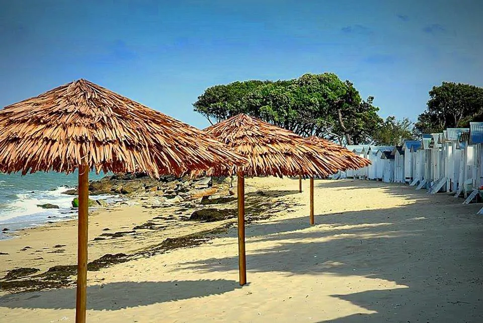 ombrelloni-makuti-foglie-palma-africana-etnici-esotici-stabilimenti-balneari-lidi-ristoranti-spiagge-parchi-hotel-piscine-003